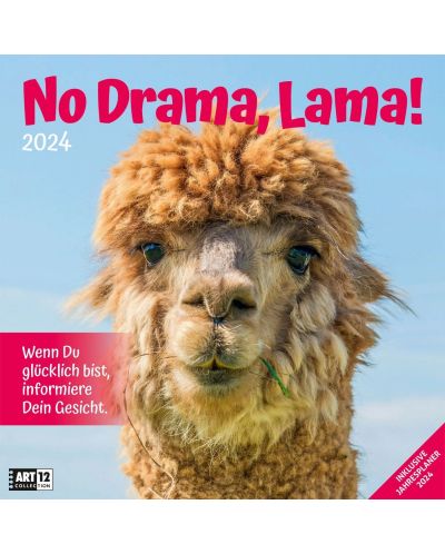 Календар Ackermann - No Drama, Lama, 2024 - 1