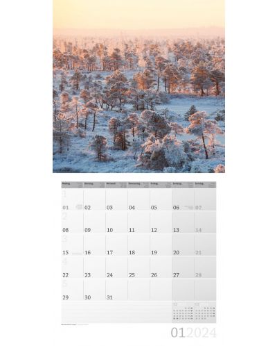 Календар Ackermann - Mystic Forest, 2024 - 2