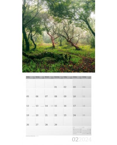 Календар Ackermann - Mystic Forest, 2024 - 3
