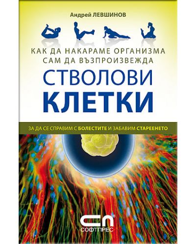 Как да накараме организма сам да възпроизвежда стволови клетки