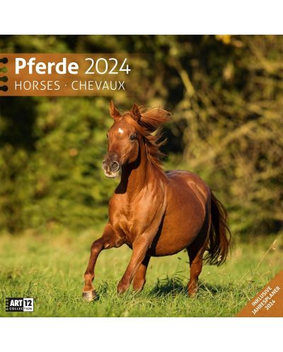 Календар Ackermann - Horses, 2024 - 1