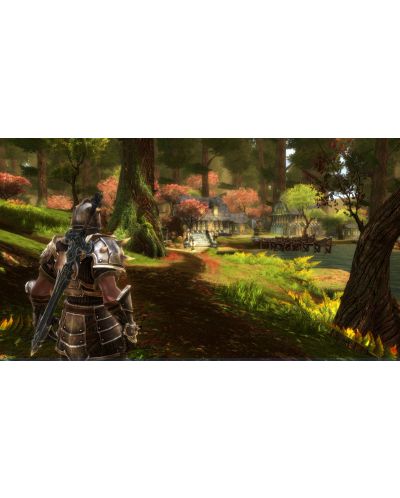 Kingdoms of Amalur: Reckoning (PS3) - 4