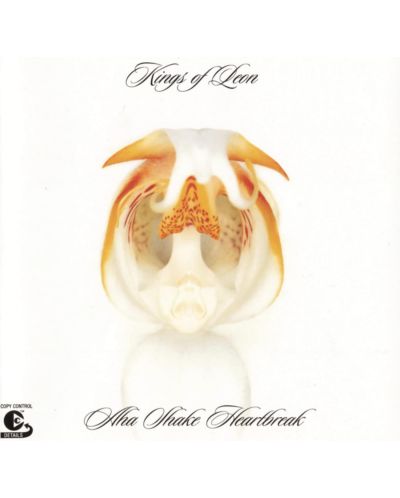 Kings Of Leon - Aha Shake Heartbreak (CD)