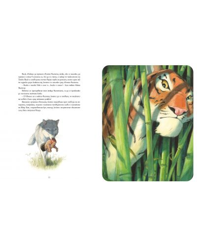 Книга за джунглата (Луксозно издание) - 2