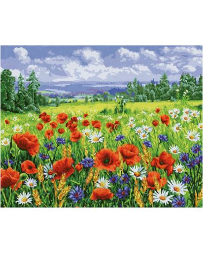 Комплект за рисуване по номера Schipper - Полски цветя - 2