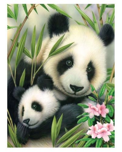 Комплект за рисуване с акрилни бои Royal - Панда и бебе, 22 х 30 cm - 1