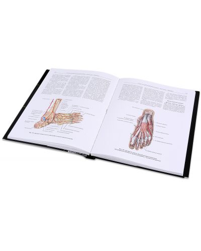 Колекция „Атлас по анатомия на човека“ - 5