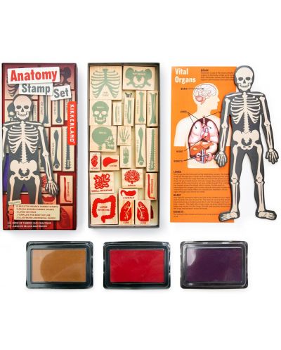 Комплект печати Kikkerland - Анатомия на човешкото тяло - 2