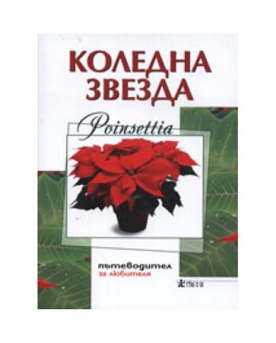 Коледна звезда