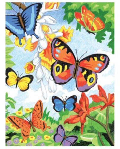 Комплект за рисуване с цветни моливи Royal - Пеперуди, 22 х 30 cm - 1