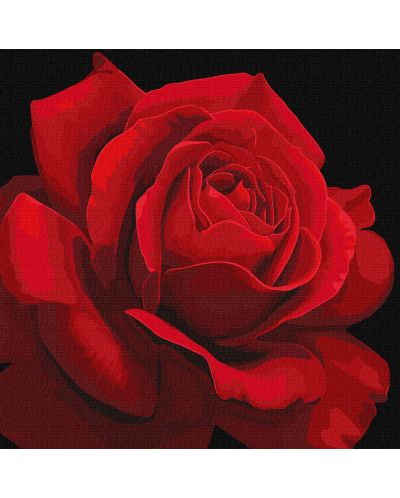 Комплект за рисуване по номера Ideyka - Червена роза, 40 х 40 cm - 1