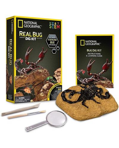 Комплект National Geographic Dig Science - Буболечка