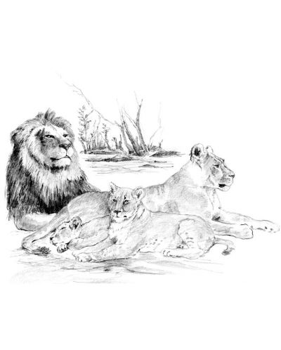 Комплект за рисуване с моливи Royal - Лъвове, графика, 29 х 39 cm - 1
