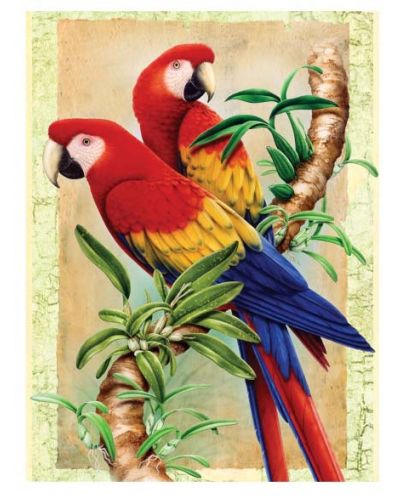 Комплект за рисуване с акрилни бои Royal - Папагали, 22 х 30 cm - 1