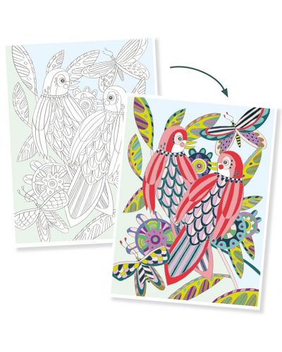 Комплект картини за оцветяване Djeco - Птици - 4