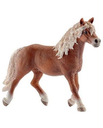 Фигурка Schleich Horse Club - Жребец Хафлингер