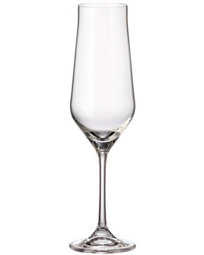 Комплект чаши за шампанско Bohemia - Royal Lida, 6 броя x 220 ml - 1