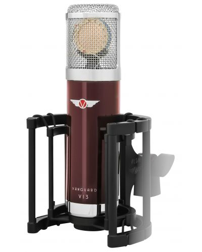 Комплект микрофон с аксесоари Vanguard - V13, червен/сребрист - 3