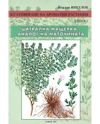 Култивиране на ароматни растения - книга 2: Цитрална мащерка - аналог на маточината - 1