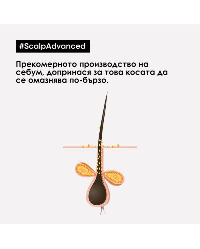L'Oréal Professionnel Scalp Advanced Шампоан Anti-Oiliness, 300 ml - 4