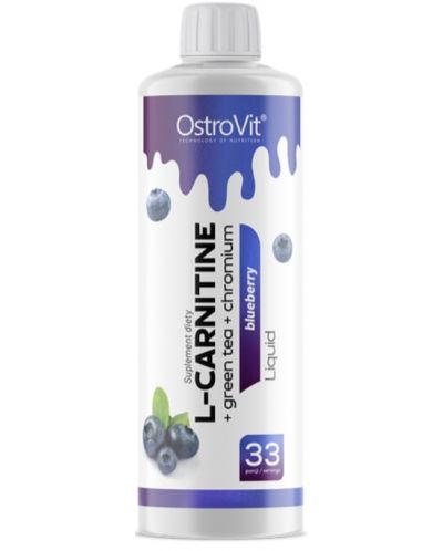 L-Carnitine + Green Tea + Chromium, синя боровинка, 500 ml, OstroVit - 1