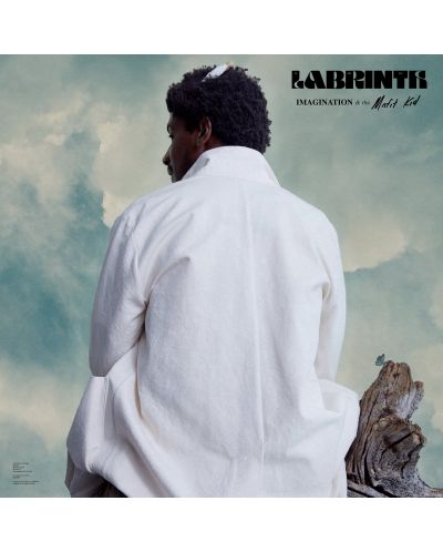 Labrinth - Imagination & the Misfit Kid (Vinyl) - 1