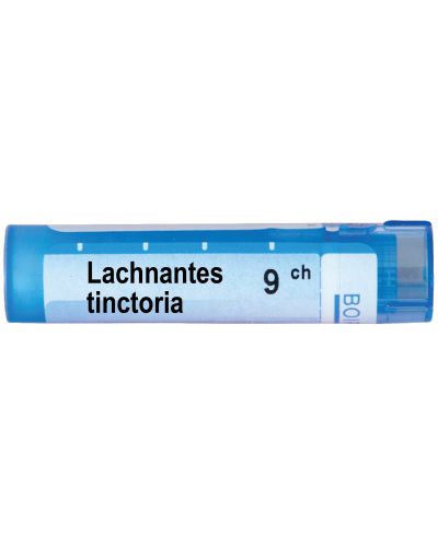 Lachnanthes tinctoria 9CH, Boiron - 1
