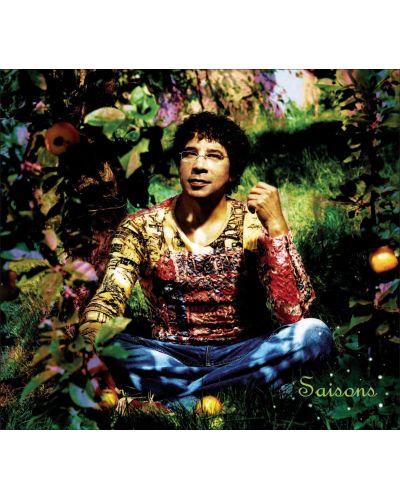 Laurent Voulzy - Saisons, Le Double Best Of (2 CD)