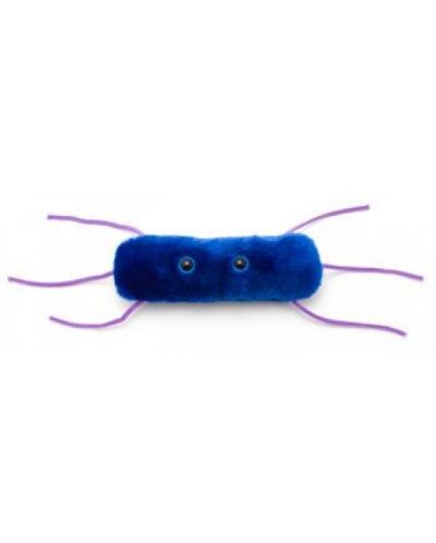Плюшена играчка Листериоза (Listeria monocytogenes) - 1
