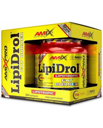 LipiDrol, 300 капсули, Amix - 1