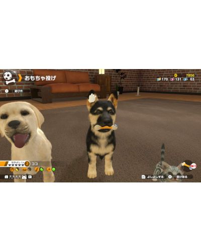 Little Friends: Dogs & Cats (Nintendo Switch) - 9
