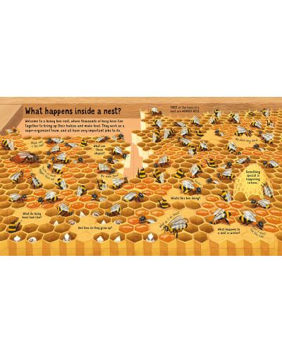 Look Inside the World of Bees - 4
