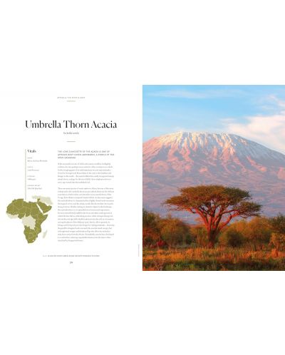 Lonely Planet: The Tree Atlas - 7