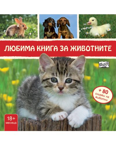 Любима книга за животните: Коте (твърди корици) - 1