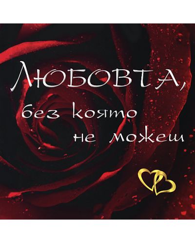 Любовта, без която не можеш
