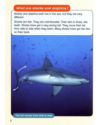 Macmillan Children's Readers: Sharks&Dolphins (ниво level 6) - 4