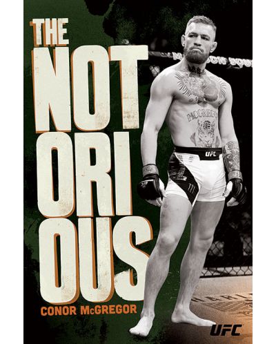 Макси плакат Pyramid - UFC: Conor McGregor (Stance) - 1