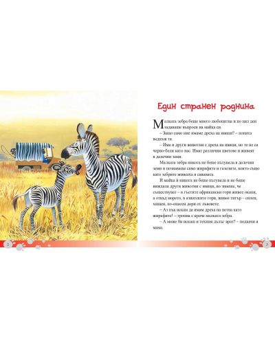 Малката зебра и други истории за животни от Африка - 2