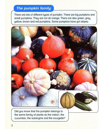 Macmillan Children's Readers: Pumpkins (ниво level 5) - 4
