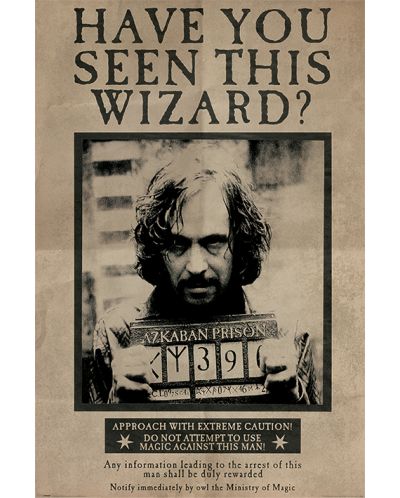 Макси плакат Pyramid - Harry Potter (Wanted Sirius Black) - 1