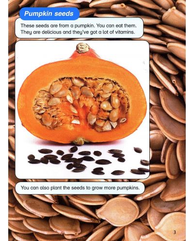 Macmillan Children's Readers: Pumpkins (ниво level 5) - 5