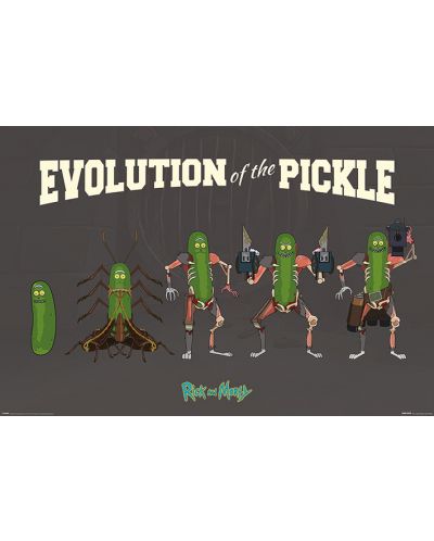 Макси плакат Pyramid - Rick and Morty (Evolution Of The Pickle) - 1