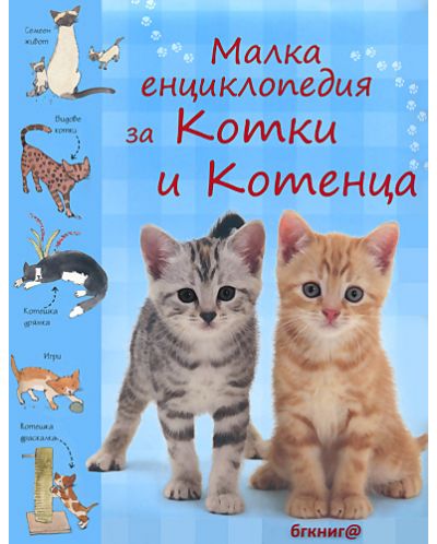 Малка енциклопедия за котки и котенца - 1