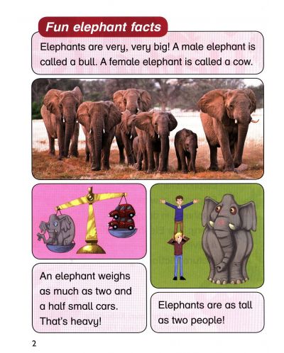Macmillan Children's Readers: Elephants (ниво level 4) - 4