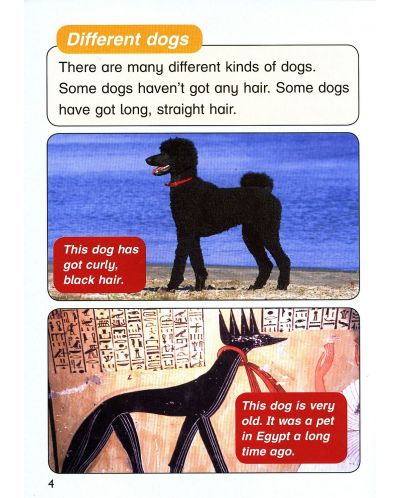 Macmillan Children's Readers: Dogs (ниво level 4) - 6