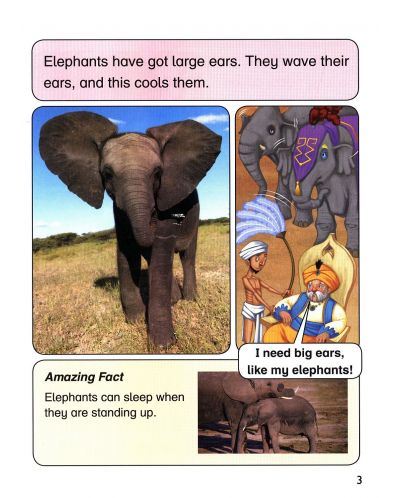 Macmillan Children's Readers: Elephants (ниво level 4) - 5