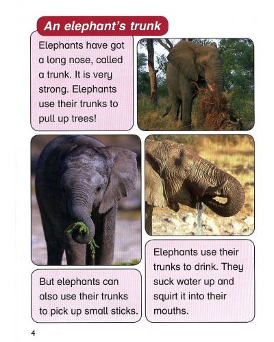 Macmillan Children's Readers: Elephants (ниво level 4) - 6