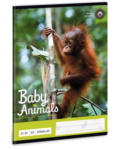 Ученическа тетрадка Ars Una - Animals Orangutan, A5, с 2 полета, 32 листа - 1