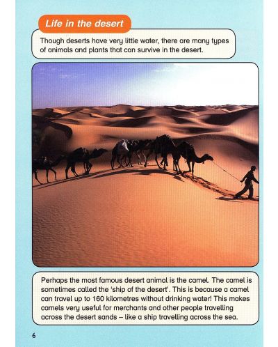 Macmillan Children's Readers: Life in Desert (ниво level 6) - 8
