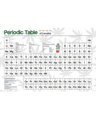 Макси плакат Pyramid Educational: Chemistry - Table of Cannabis - 1